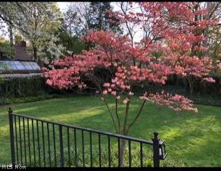 Devonshire Drive - Residential