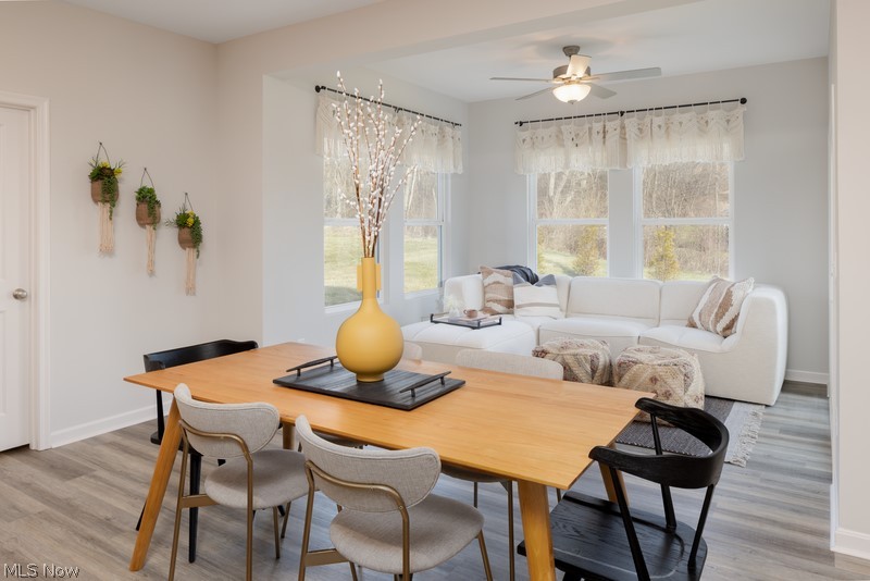 Spring Hill Villas - Residential