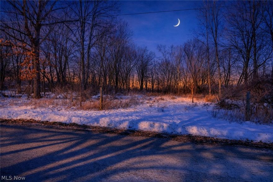 Looking for a "country feel" but still close to highways and amenities? Then look no further! Come check out this fantastic Canton LSD 2.12-acre lot with a small clearing at the front of the property. Bring your ideas to this potential home site, schedule your showing today!