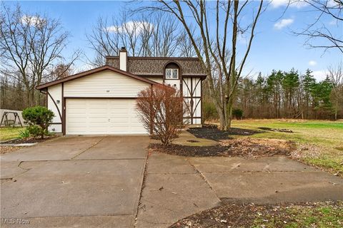 Homes For Sale - 578 N Main Street<br/> Amherst, OH 44001