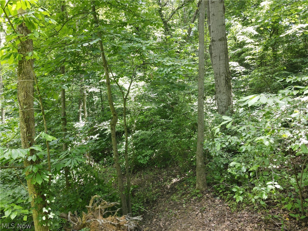Walk at any time you desire and at your own risk. Online only auction starts ending Thursday, August 12th, at 5:00PM.
Are you looking for a smaller tract of recreational property? Here is a tract of land that could lend itself to several different uses, including, hunting, camping, ATV or horseback riding, or a possible building site. There is a creek on the property as well as mowed paths that could lead you to your stand where that big buck could be hanging out this fall. Walk this property before the 12th and be ready to own your slice of hunting land. Easy access from Stock-port, Ohio