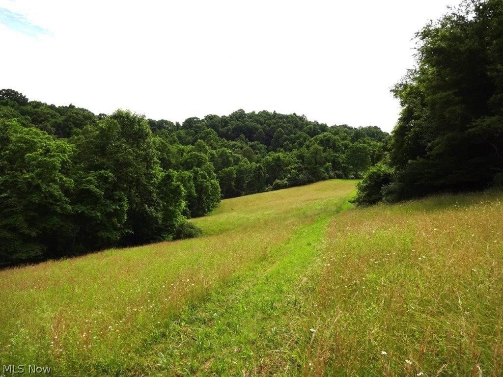 View Looneyville, WV 25259 property