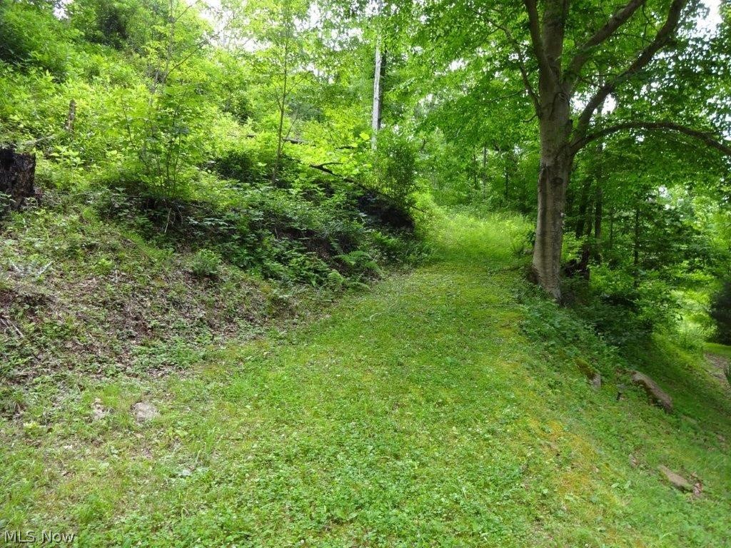 2558 Tariff Road, Looneyville, West Virginia image 29