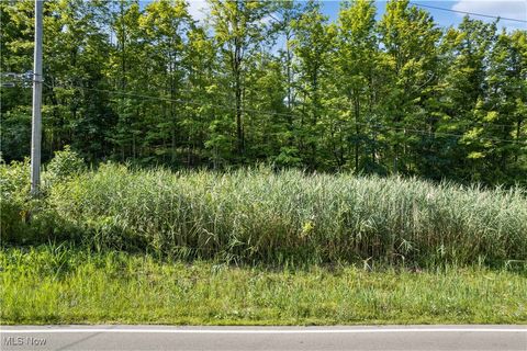 Sleepy Hollow Road Brunswick OH 44212