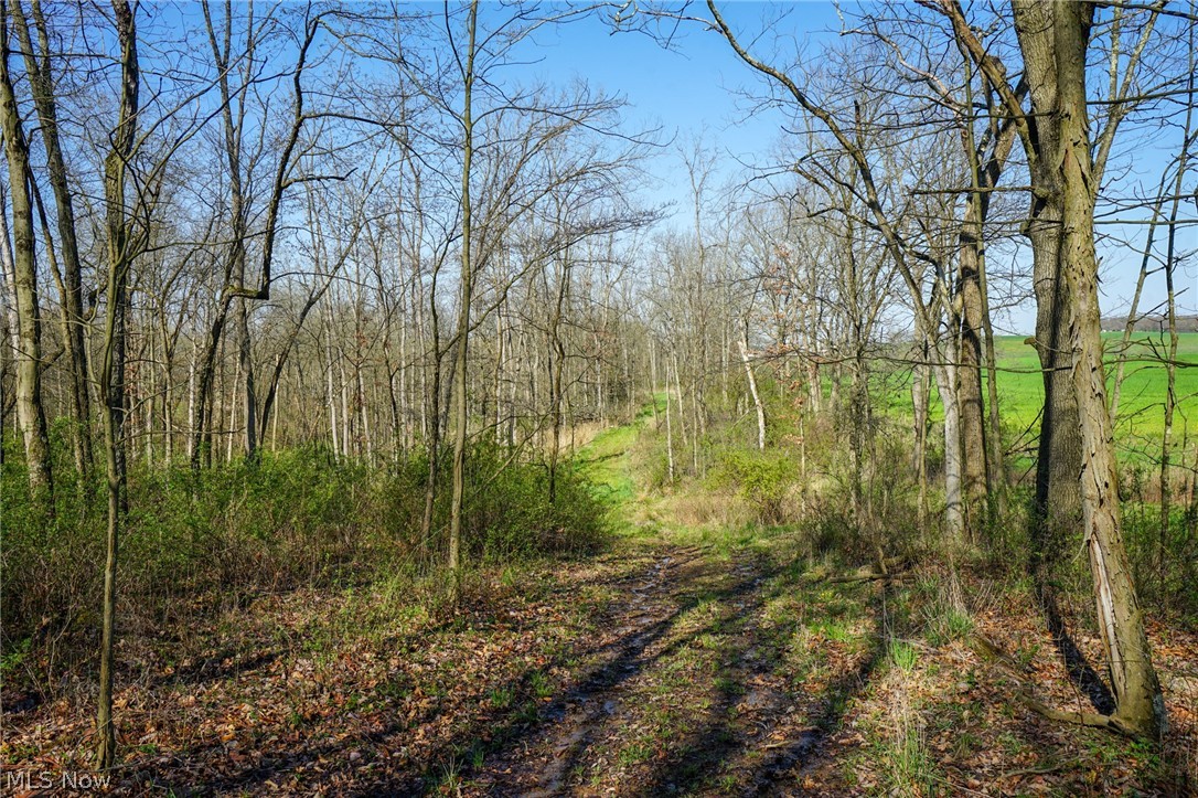 390 Twp Rd 203a, Bloomingdale, Ohio image 11