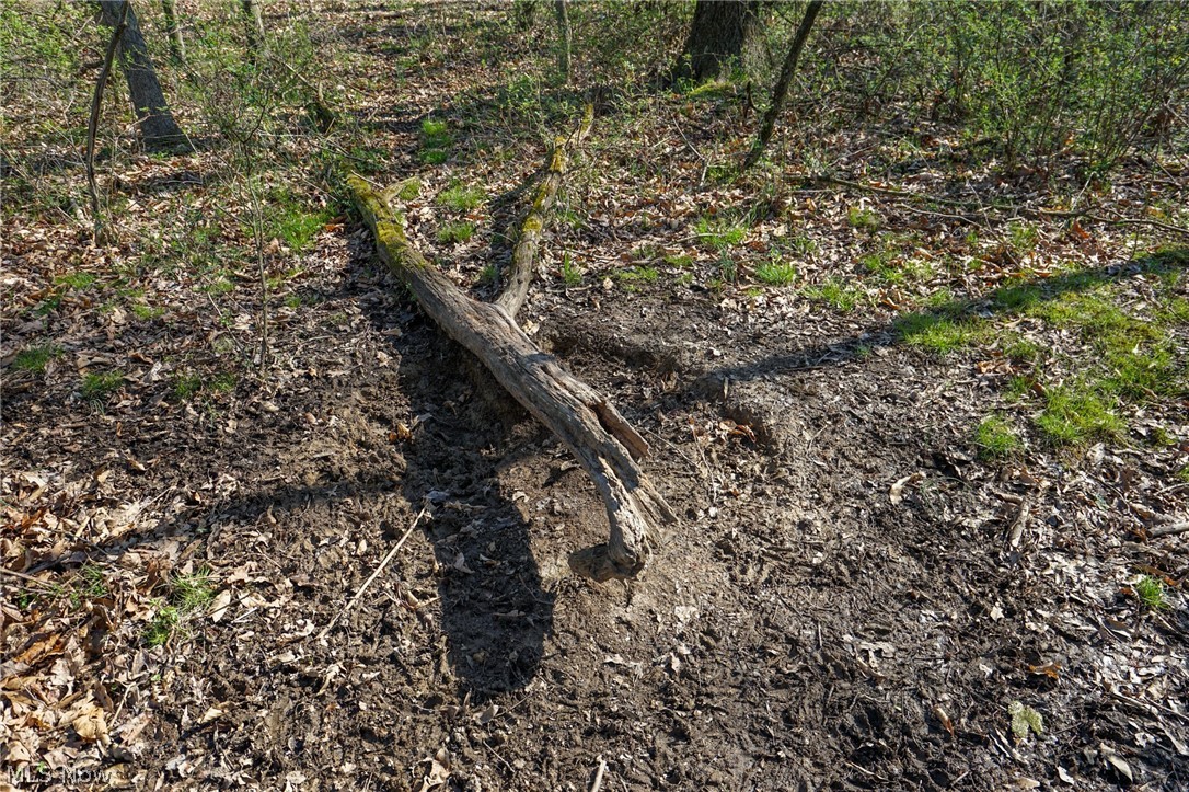 390 Twp Rd 203a, Bloomingdale, Ohio image 14