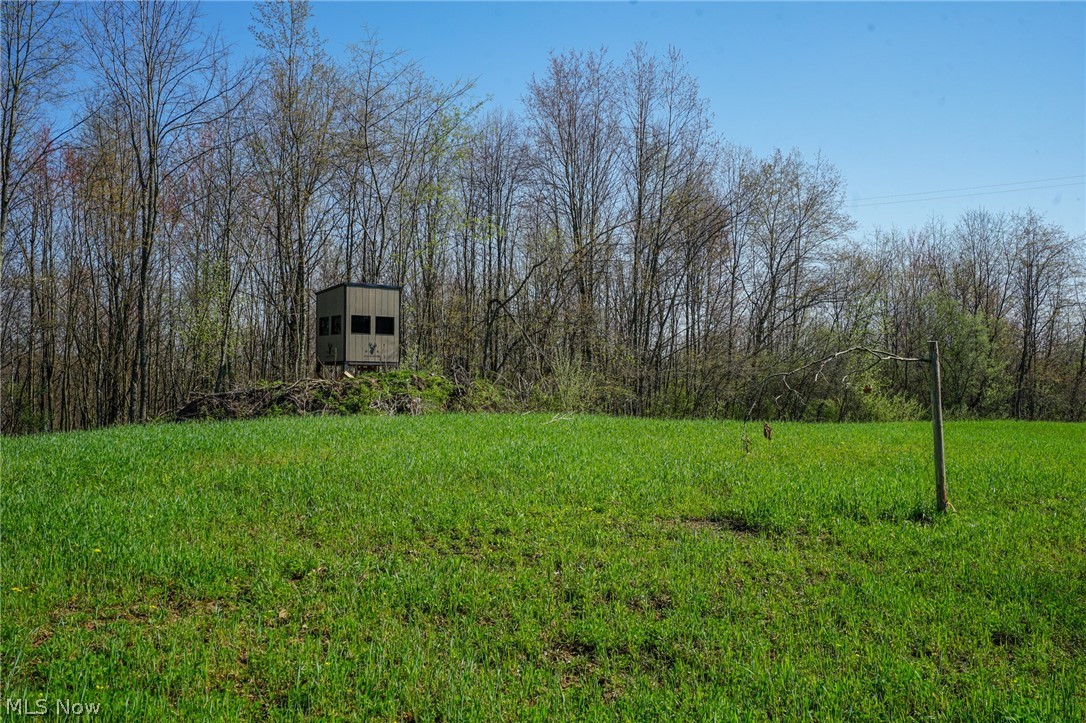 390 Twp Rd 203a, Bloomingdale, Ohio image 8