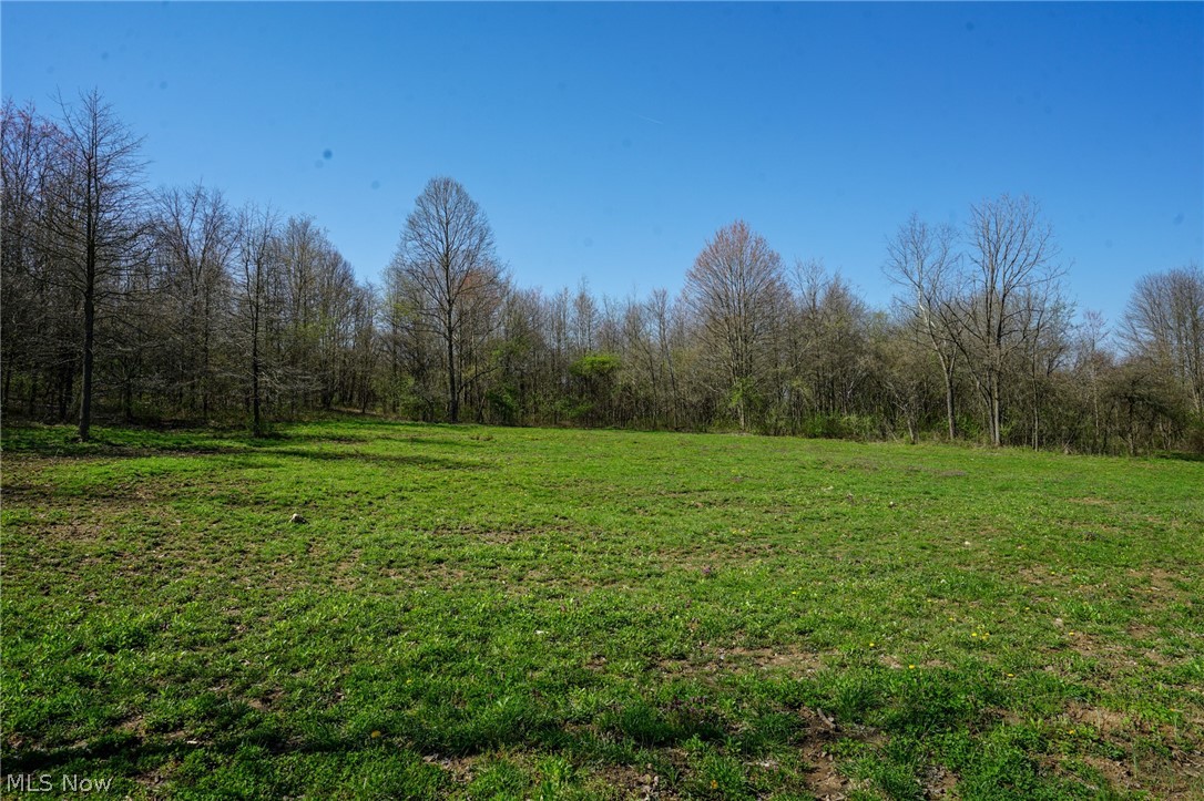 390 Twp Rd 203a, Bloomingdale, Ohio image 21