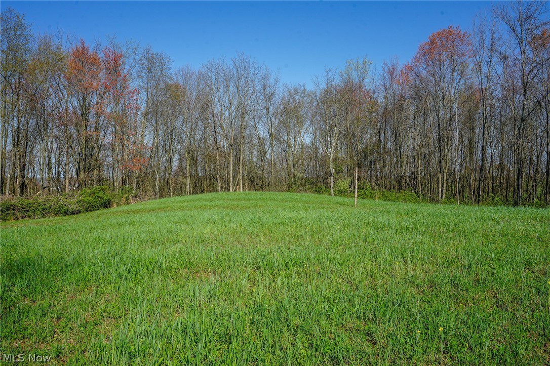 390 Twp Rd 203a, Bloomingdale, Ohio image 9