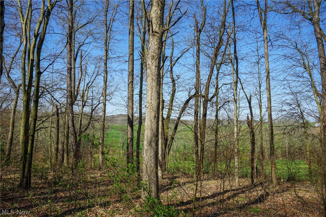 390 Twp Rd 203a, Bloomingdale, Ohio image 16