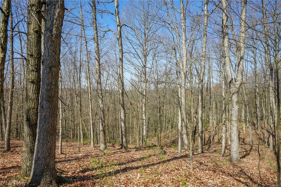 390 Twp Rd 203a, Bloomingdale, Ohio image 35