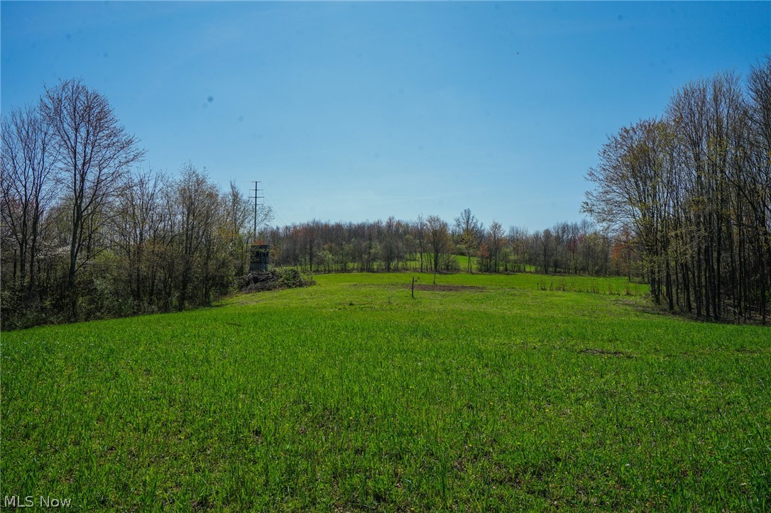 390 Twp Rd 203a, Bloomingdale, Ohio image 39