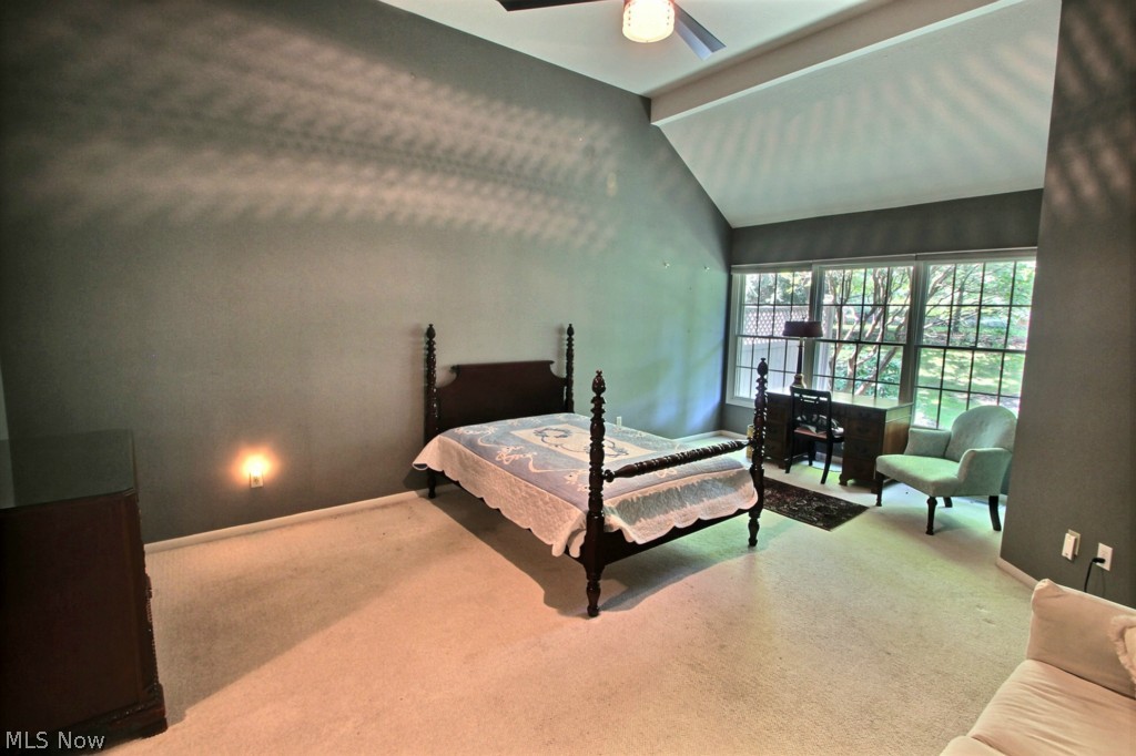 Newport - Residential