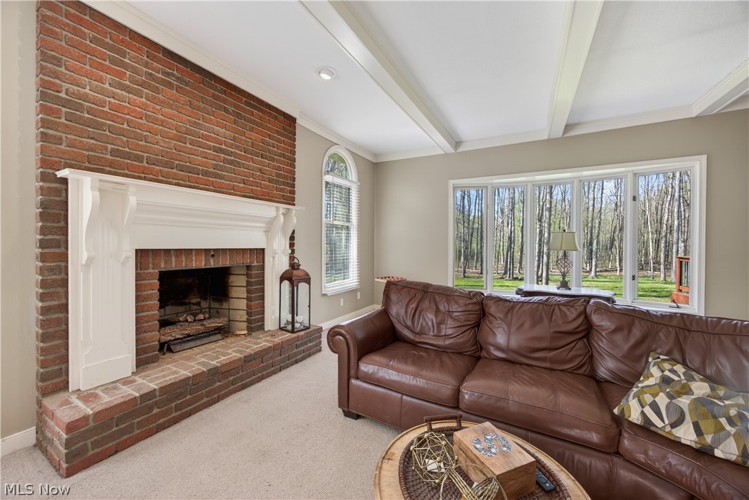 Western Reserve Park - Residential