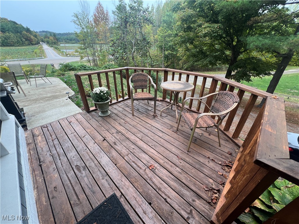 37080 Penrose Lane, Cadiz, Ohio image 34