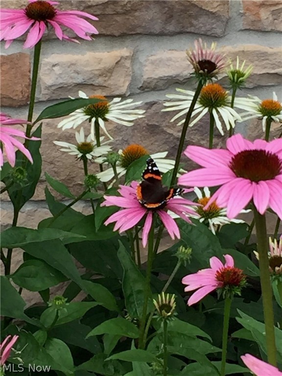 BOULDER ESTATES LOT 7 ALL - Residential