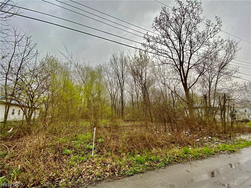 Three lots totaling 5.2 relatively flat acres. Lot is zoned such that you could build a home or potentially use it for other uses. Bring your builder or consider using Diyanni Homes.