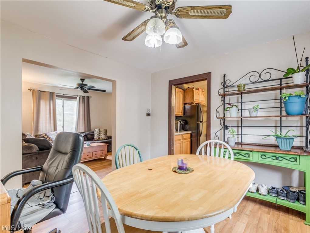 Springfield Terrace - Residential