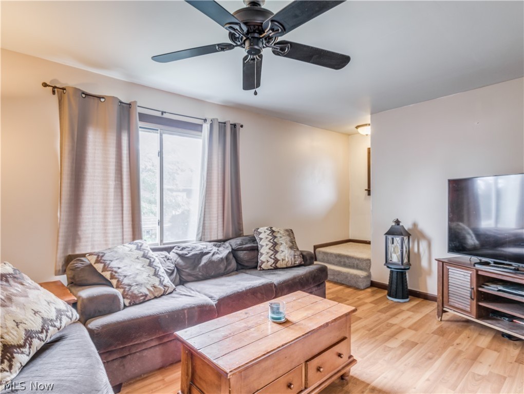 Springfield Terrace - Residential