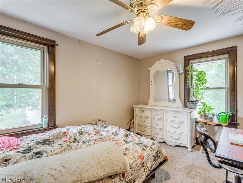 Springfield Terrace - Residential