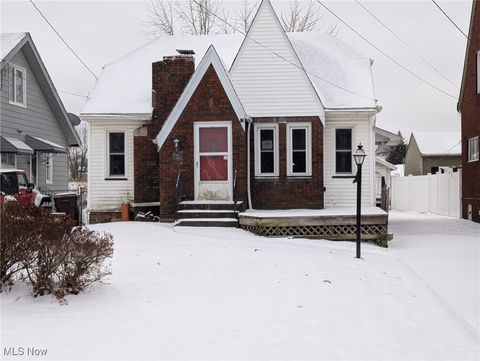 Photo of 27 Erskine Avenue, Youngstown, OH 44512 (MLS # 5179030)