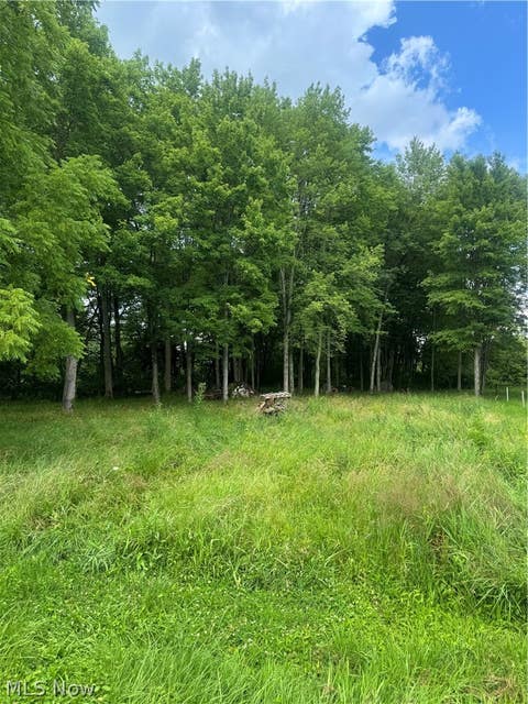 Vacant Land For Sale - W Egypt Road<br/> Minerva, OH 44657