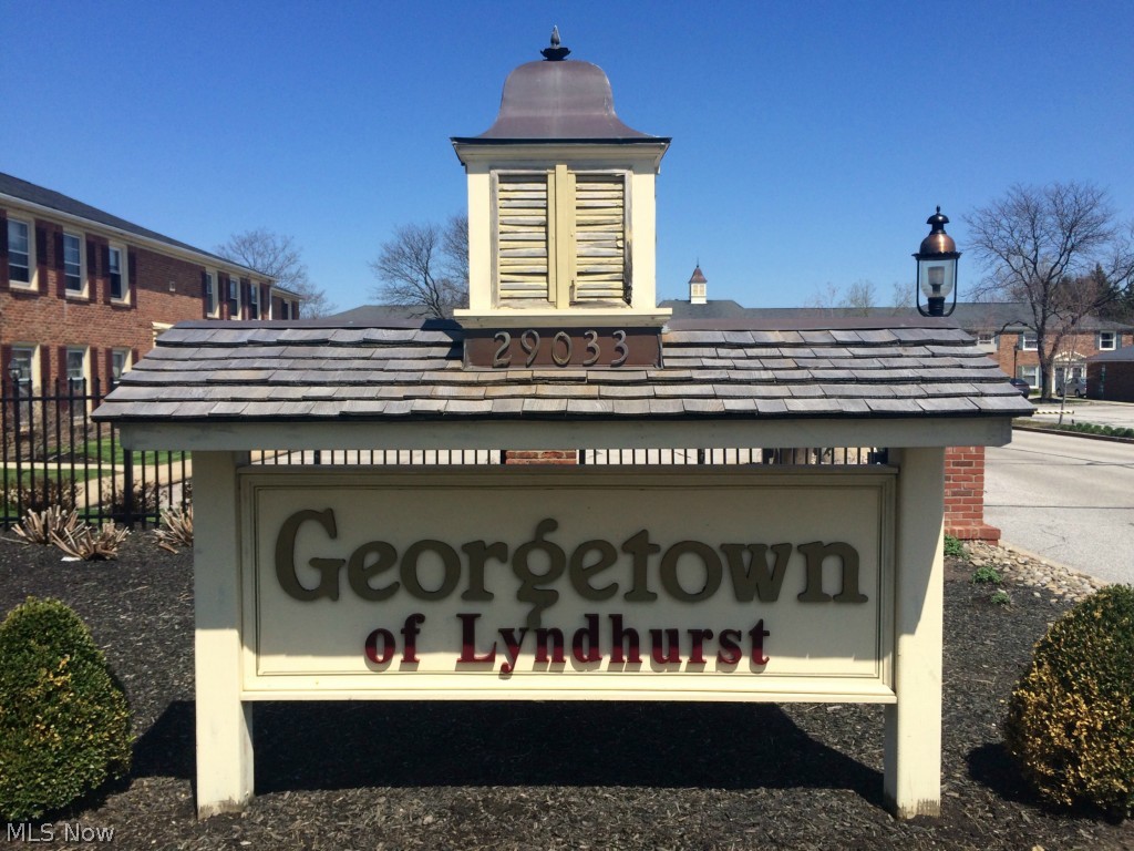 Georgetown/Lyndhurst condos - Residential