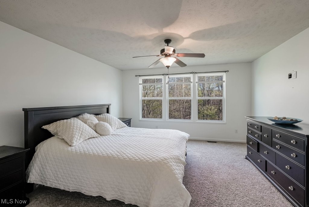 680 Morgan Trail, Aurora, Ohio image 30