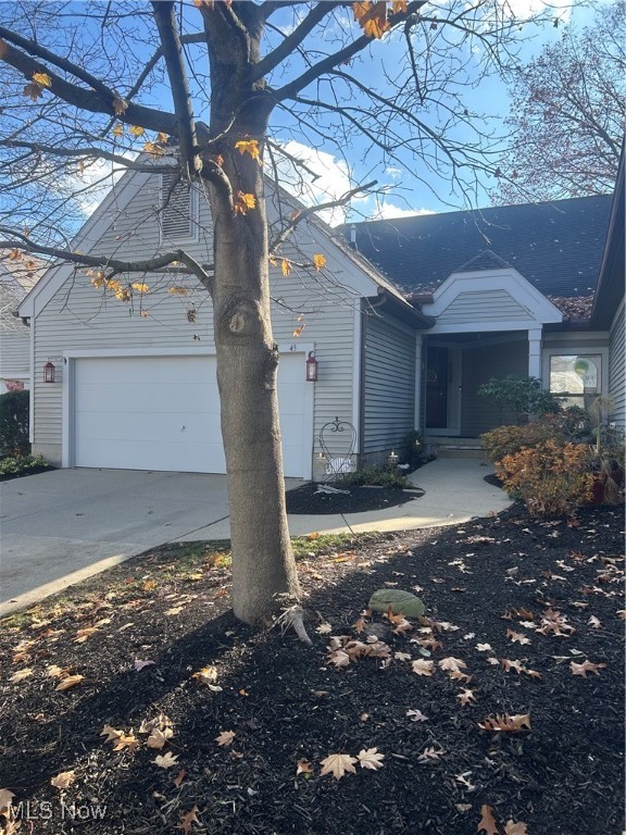 Forest Cove East Condo - Residential