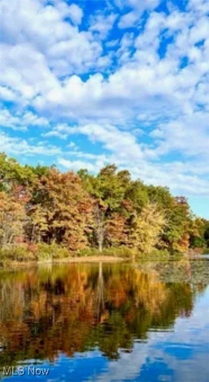 Forest Cove East Condo - Residential