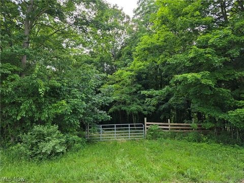 Vacant Land For Sale - Greenwich Rd / Jamison Rd<br/> Lodi, OH 44254