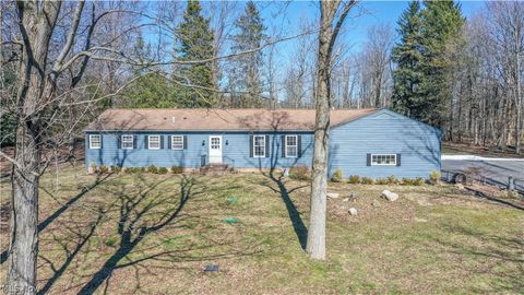 11180 Whitewood Drive Newbury OH 44065