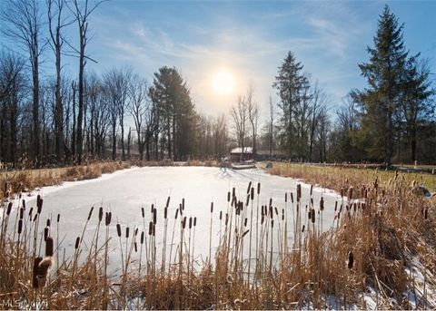 Tiny photo for 11180 Whitewood Drive, Newbury, OH 44065 (MLS # 5188371)