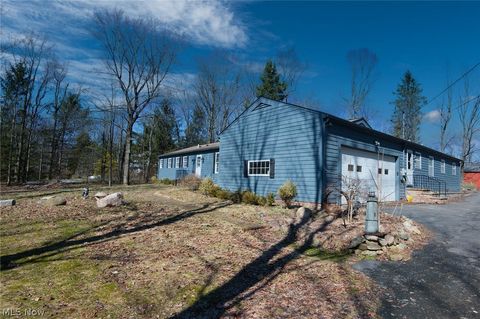 Tiny photo for 11180 Whitewood Drive, Newbury, OH 44065 (MLS # 5188371)