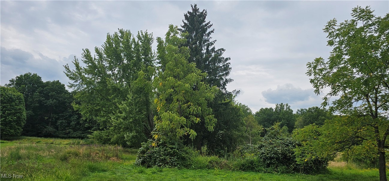 Champion Township Original Sec 08 - Residential