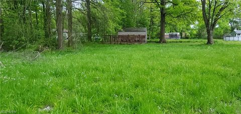 Tiny photo for 724 Briggs Road, Leavittsburg, OH 44430 (MLS # 5210541)