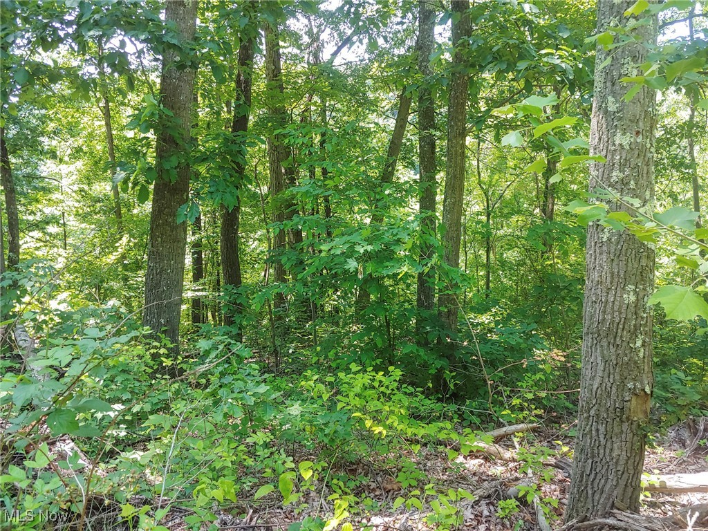 Norwood View Add - Land