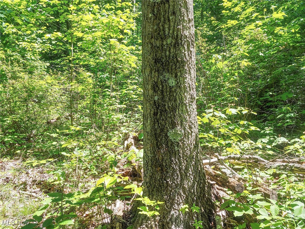 Norwood View Add - Land