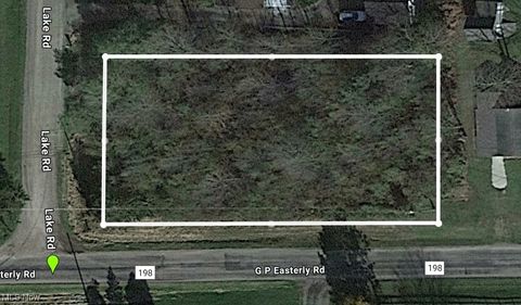 Vacant Land For Sale - V/L Lake Street<br/> West Farmington, OH 44491