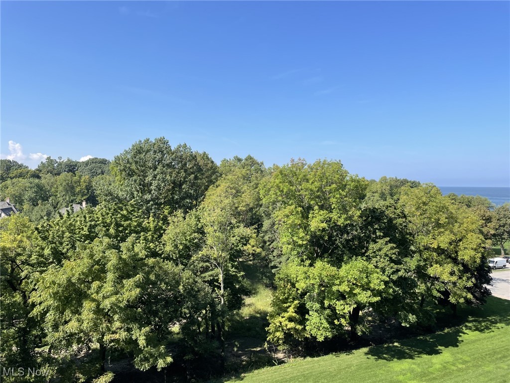 One Bratenahl Place Condo - Residential