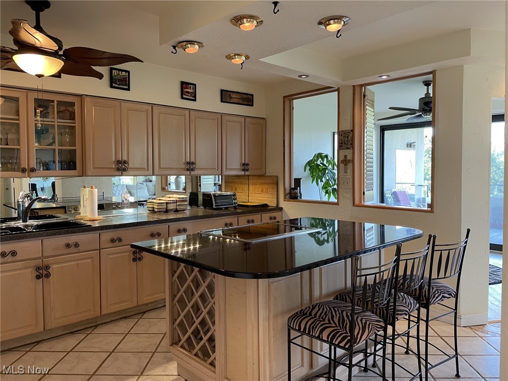 One Bratenahl Place Condo - Residential