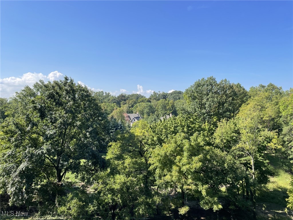 One Bratenahl Place Condo - Residential