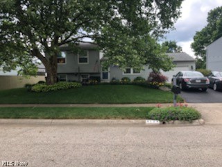 Ludlow - Residential