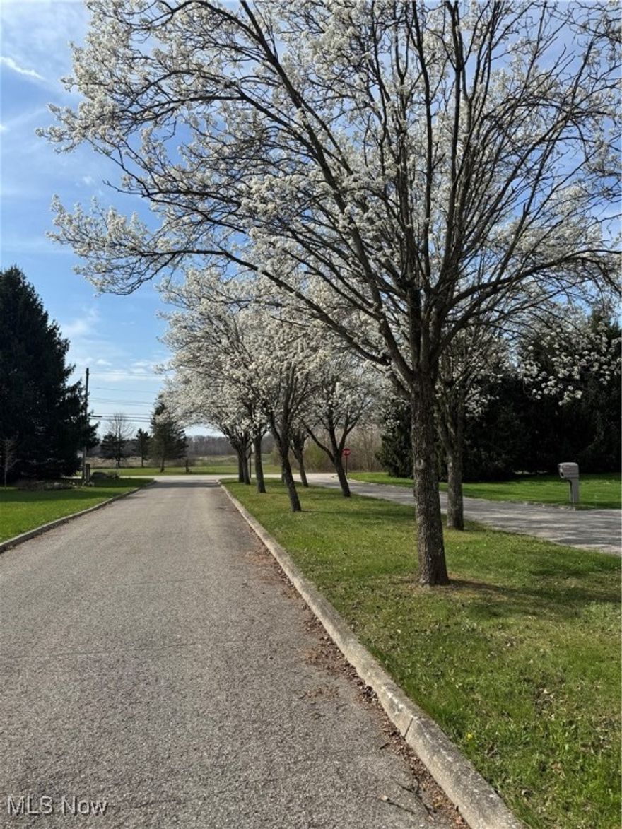 Look at this amazing lot in Cortland nestled on a dead end street. This is a wonderful opportunity to build the home of your dreams. Public utilities available. Mathews School District. Photos to follow