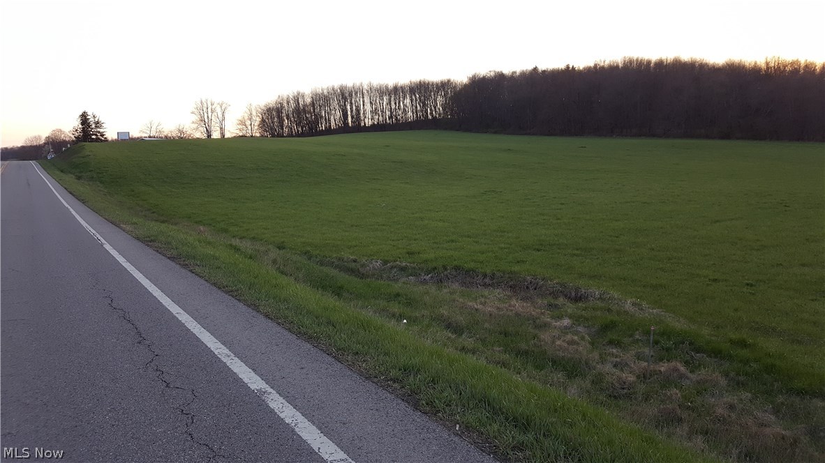 Here is a mostly wooded lot right off of State Route 13 just south of Bellville. Land has 60 feet of frontage and close proximity to Bellville. Good deer sign with a few rubs and a scrape make this a rather affordable hunting property. Property has potential to be used as a building/cabin site as well. More land available under MLS #'s 3913008, 3915169, 3915191, 3915217.