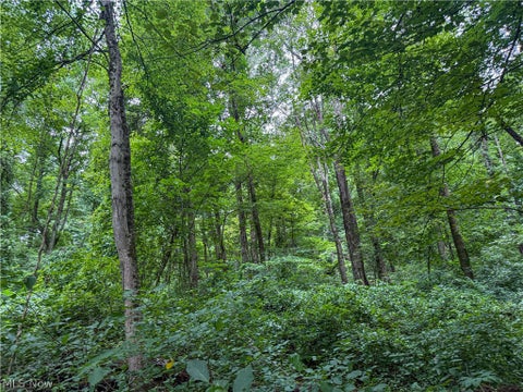 Tiny photo for 62459 Greenlawn Road, Quaker City, OH 43773 (MLS # 5239450)
