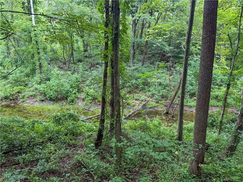 Tiny photo for 62459 Greenlawn Road, Quaker City, OH 43773 (MLS # 5239450)
