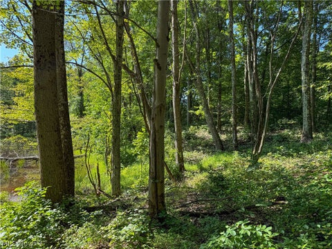 Tiny photo for 62459 Greenlawn Road, Quaker City, OH 43773 (MLS # 5239450)