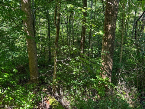 Tiny photo for 62459 Greenlawn Road, Quaker City, OH 43773 (MLS # 5239450)