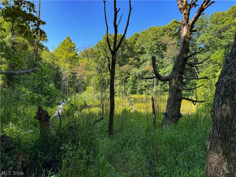 Tiny photo for 62459 Greenlawn Road, Quaker City, OH 43773 (MLS # 5239450)